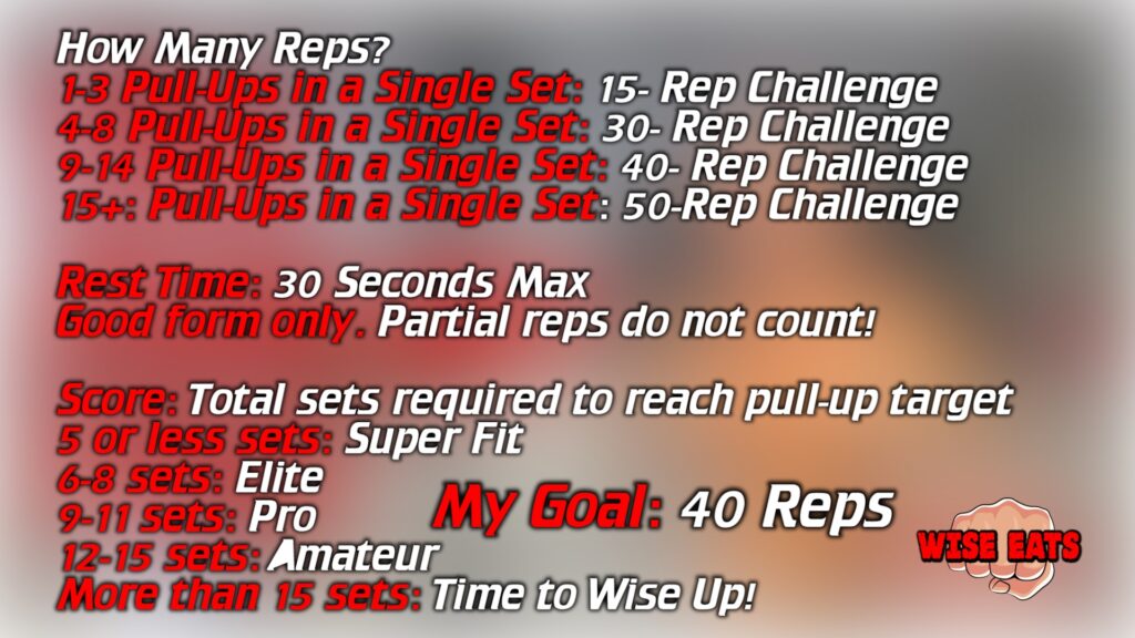 The Pull Up Test – Fitness CHALLENGE for Upper Body & Endurance – Wise Eats